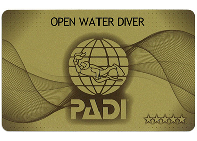PADI 5スターゴールドカード