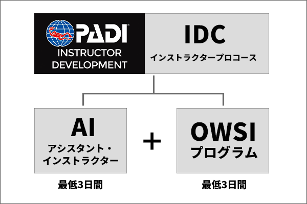 IDCプロコース