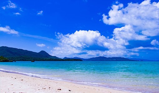 湘南ダイブ沖縄店