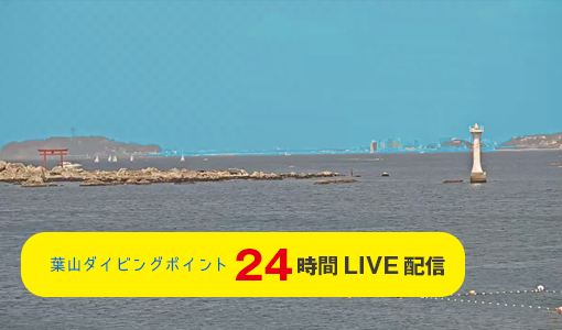 24時間LIVE配信