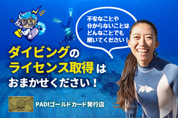 ダイビングライセンス取得